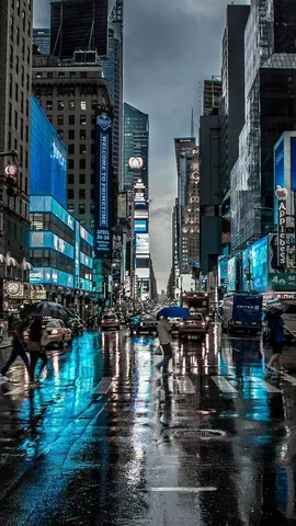 都会の雨、光を映す道