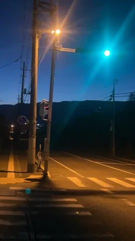 青信号が照らす静かな夜道
