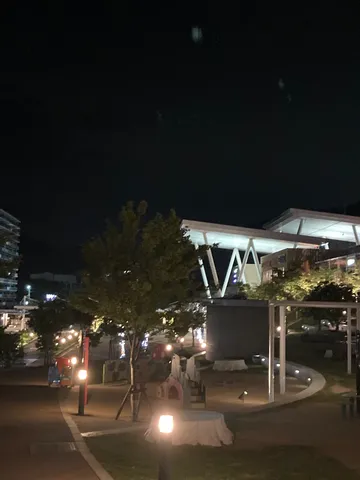 夜の公園、灯りの散歩道
