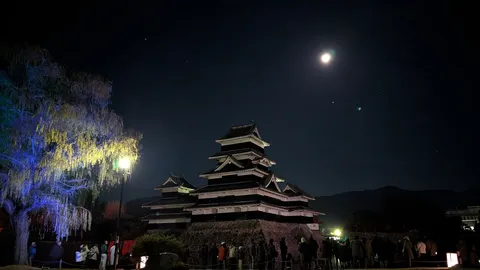 夜の城と月の光影