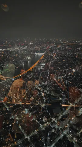 夜景が川を結ぶ光の道