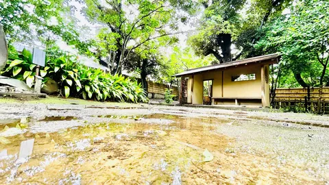 雨上がりの静寂、木造小屋と水たまり