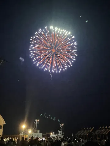 夜空を彩る光の花火