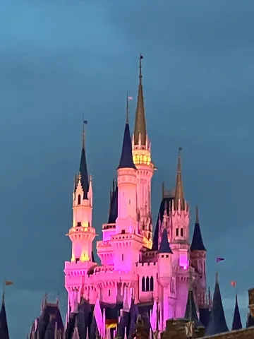 夜空に浮かぶピンク城