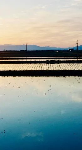 水鏡に映る、水平線の夕暮れ
