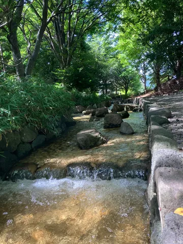 緑陰にせせらぐ清流の道