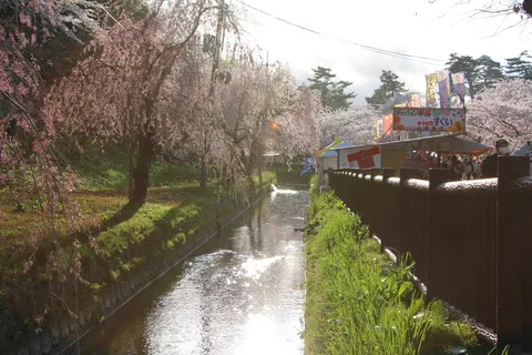 川沿いの桜と出店