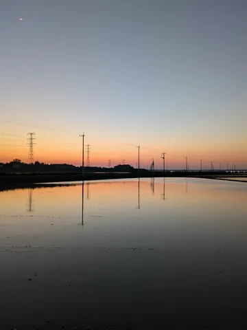 夕暮れの田んぼと三日月