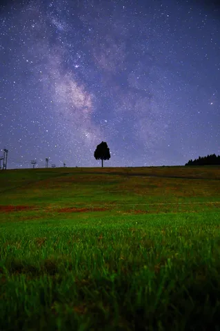 星降る丘の静寂