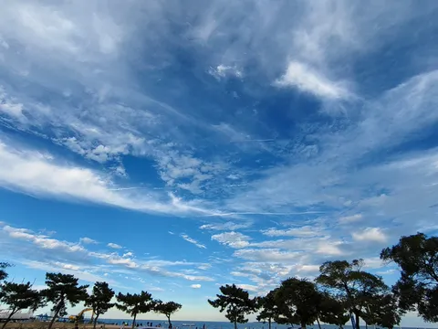 夏の終わりの空と木々