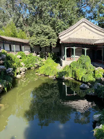 静寂の庭園、映り込む水面