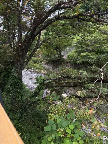 木漏れ日とせせらぎの小道