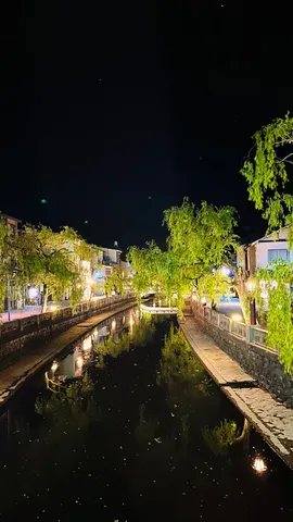 水面に映る夜景の光