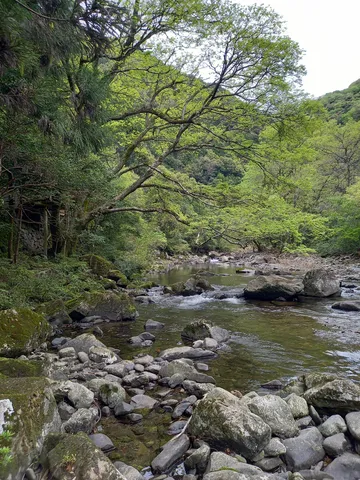 清流と緑のコントラスト