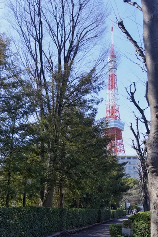 木々の間から覗く東京タワー