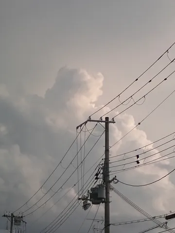 送電線の迷宮と空