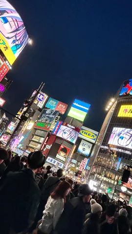 光あふれる都会の夜