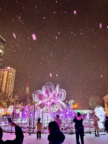 光の花咲く雪の夜