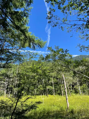 木漏れ日と夏の青空