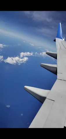 雲海と翼