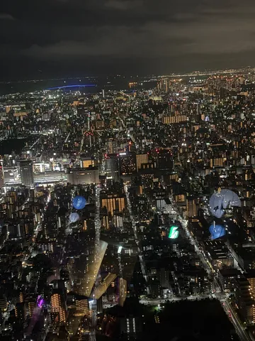 夜景に広がる光の海