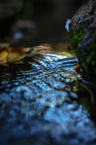 苔むす岩と水面の妖しい光