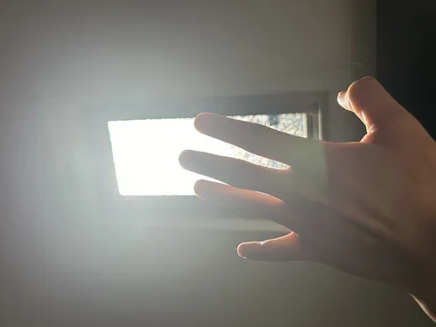 まぶしさに、思わずお手て