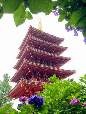 新緑と五重塔、風薫る