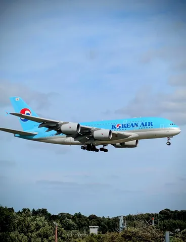 青空を滑る青い翼