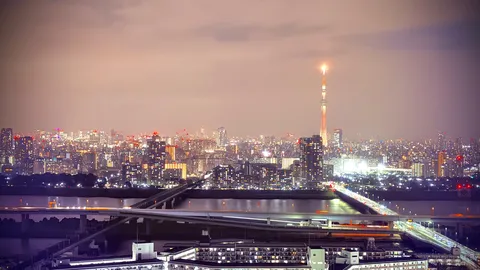光の街を渡る夜