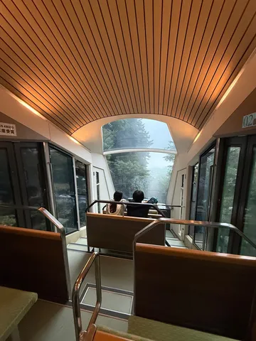窓際の旅路、木々の影