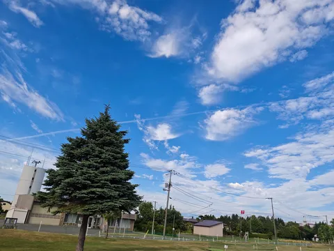 夏の空と緑の薫り