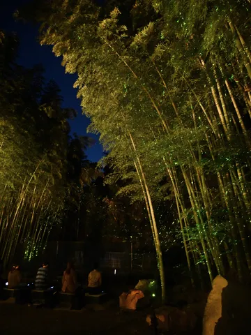 夜風と竹の静かな囁き