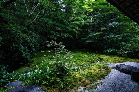 新緑の庭園、静寂の時