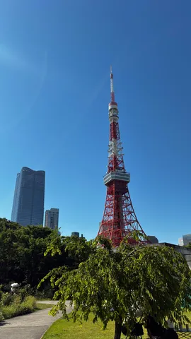 青空に映える東京タワー