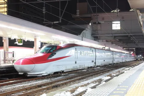 駅に停車中の流線形列車