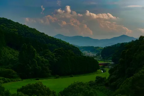 緑深き谷間の夕暮れ