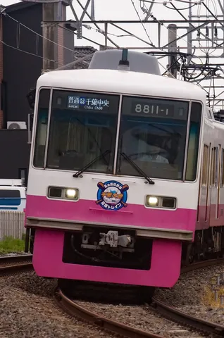 ピンクと白のコントラストが鮮やかなローカル線