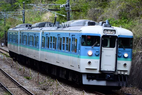 山間を駆ける青い二両編成