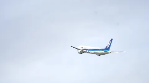 空へ飛び立つANA機