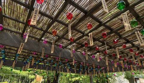 風鈴、大集合！