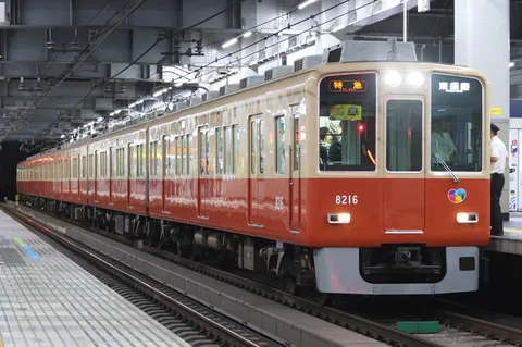 都市の夜を彩るツートン車両