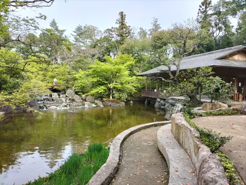 緑映る水辺の静寂