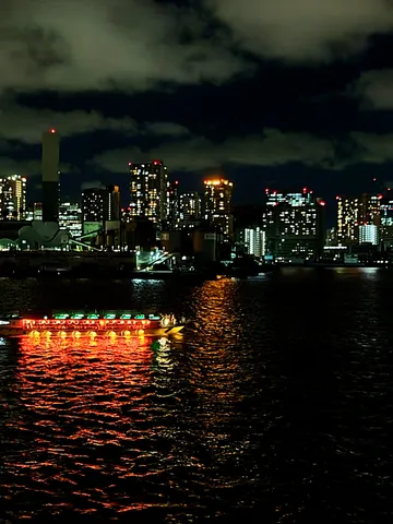 夜景に映える光の船旅