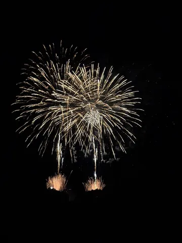 夜空に咲く光の花束