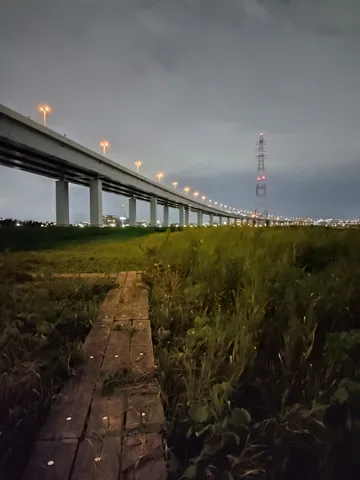 橋と夜景、そして雑草の小道