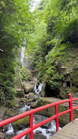 緑輝く渓谷と赤橋
