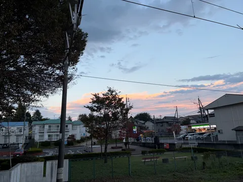 夕暮れの電線と公園の風景
