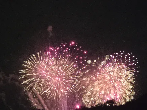 夜空に咲く、光の花火