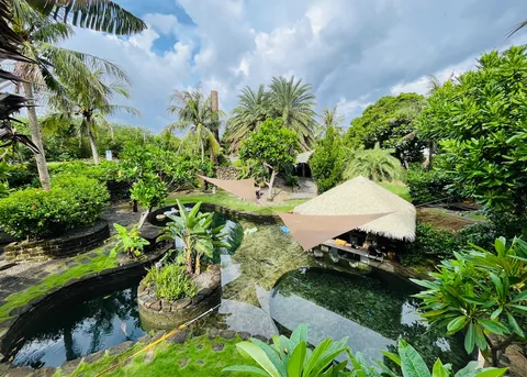 熱帯の楽園、癒やしの水辺